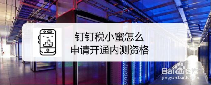 钉钉税小蜜怎么申请开通内测资格