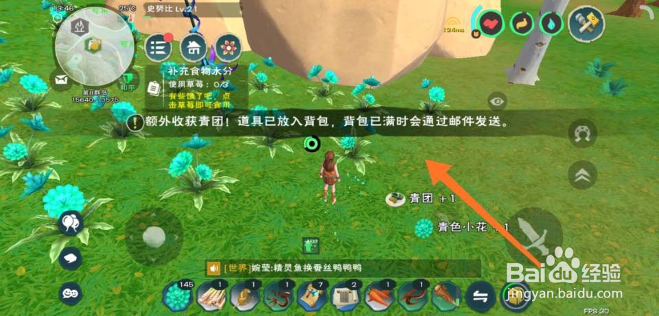 创造与魔法青团怎么获得每天上限多少