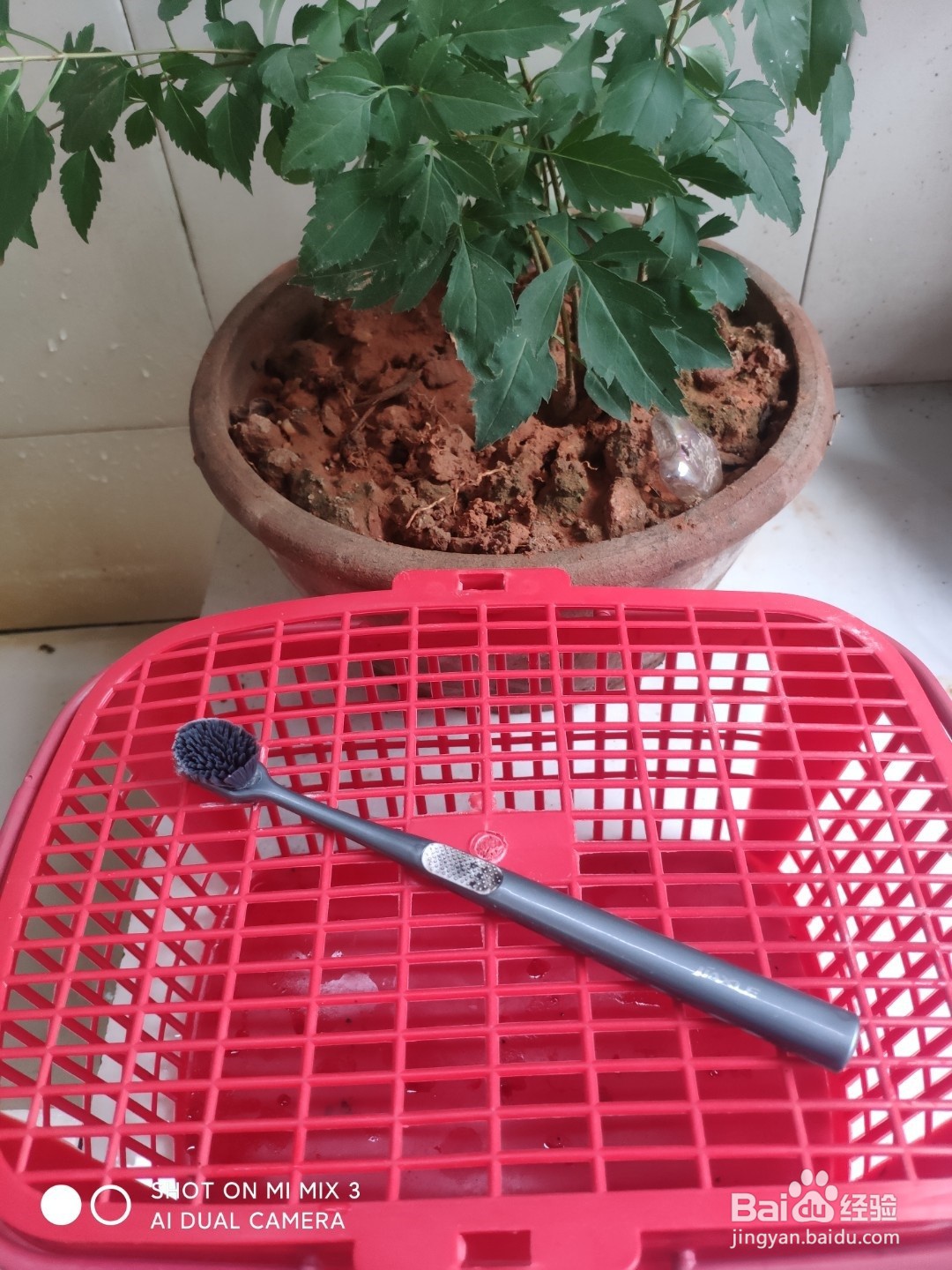 怎么样轻松去除衣服上的纸屑？