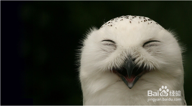 怎么提醒朋友还钱