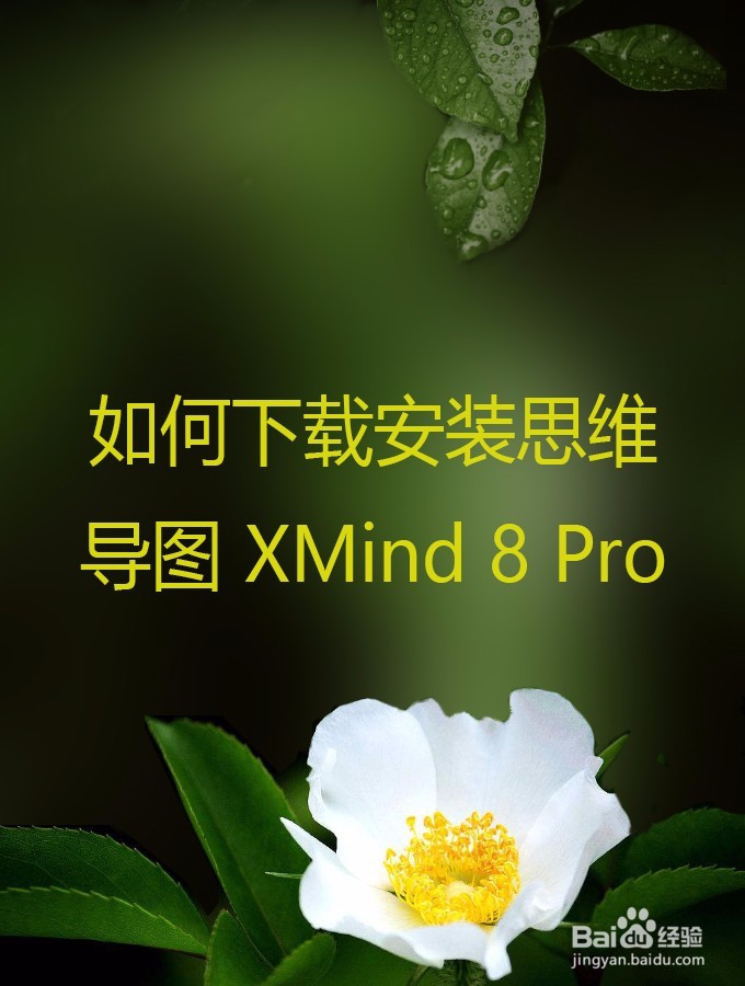 <b>如何下载安装思维导图 XMind 8 Pro</b>