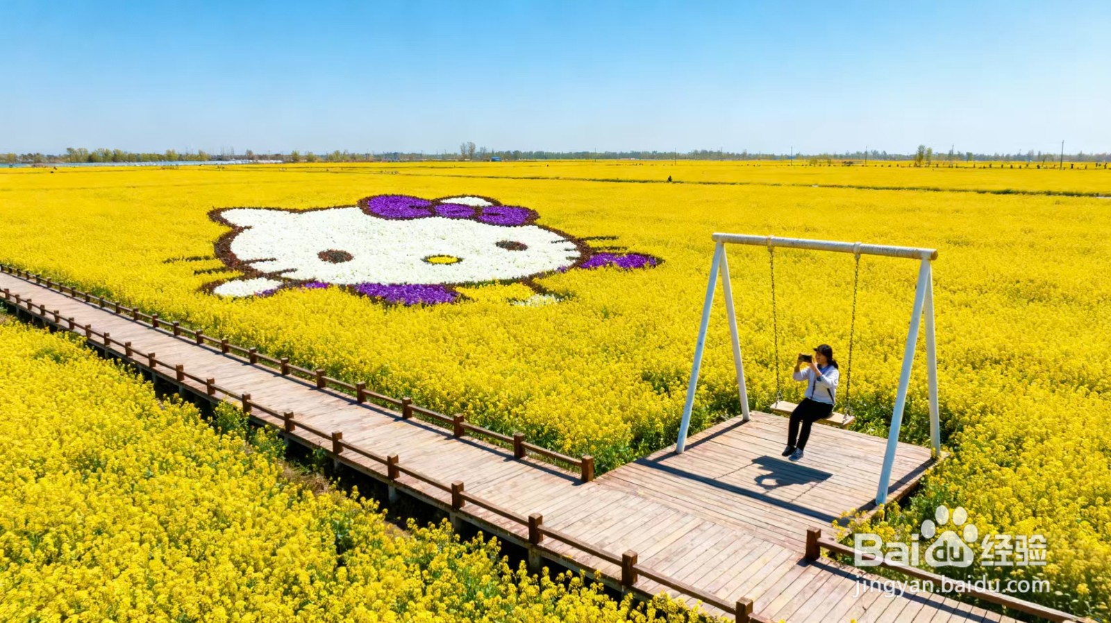 怎样打造油菜花观赏基地