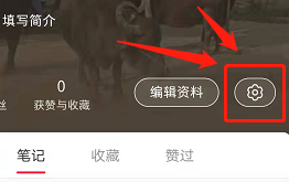 小红书如何开启接收消息通知