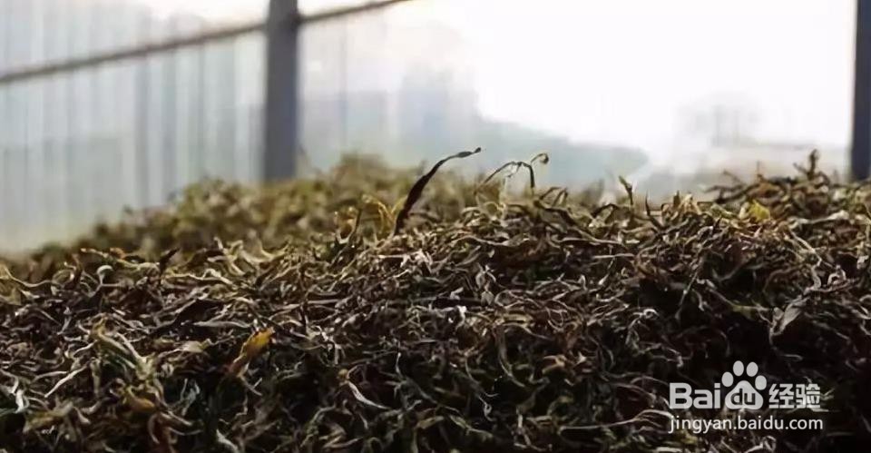 普洱发酵熟茶工艺方法