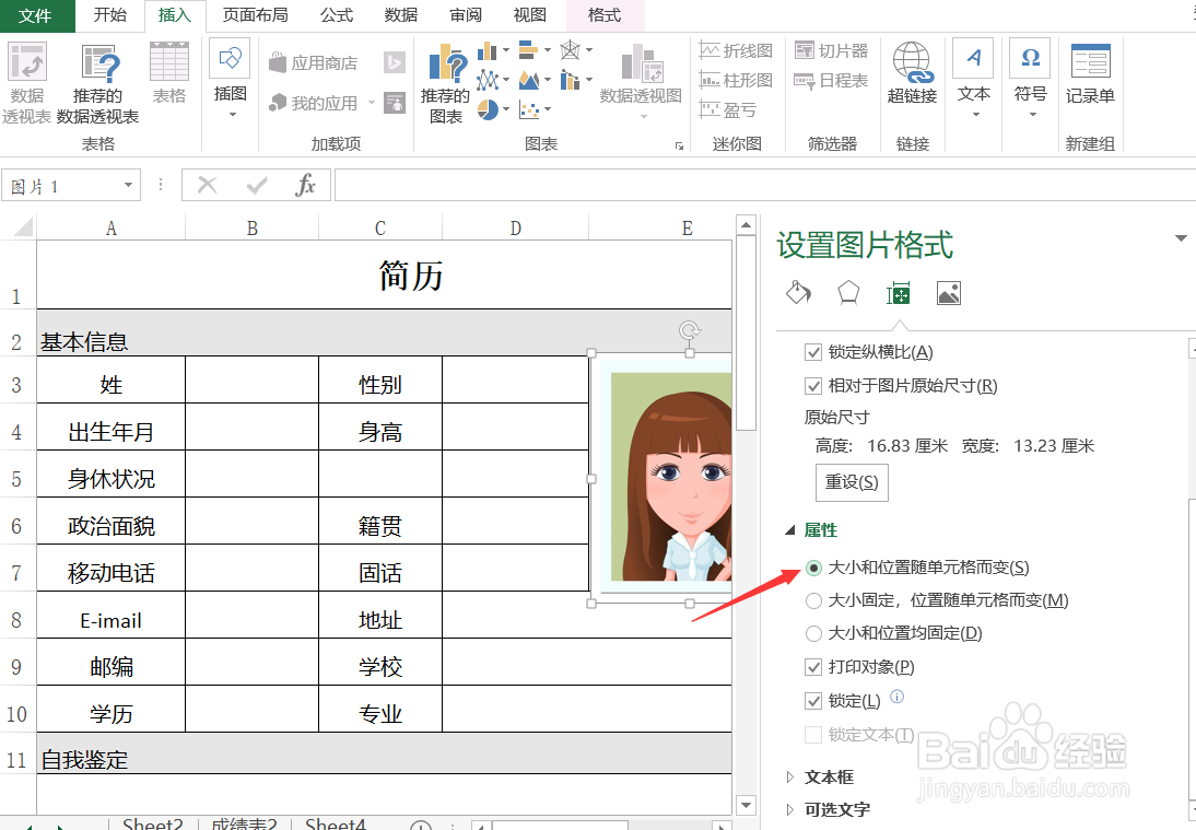 Excel怎样导入简历照片