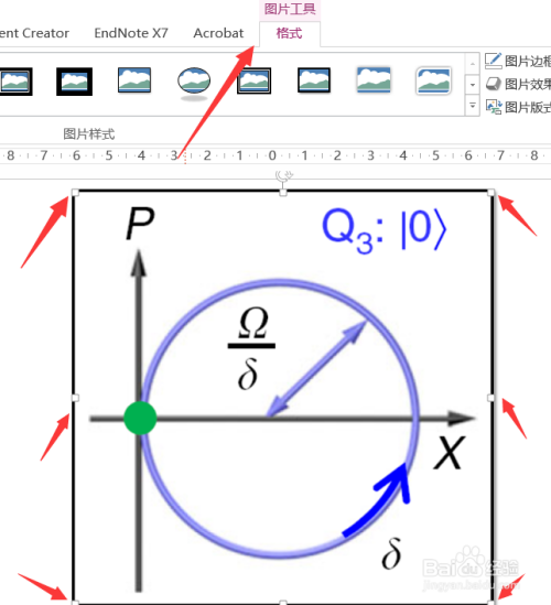 PPT中的图片加了背景边框后,如何去掉重置图片