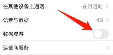 苹果12主号漫游数据在哪里关闭呢