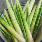 帕金森患者!你还在喝酒吗？