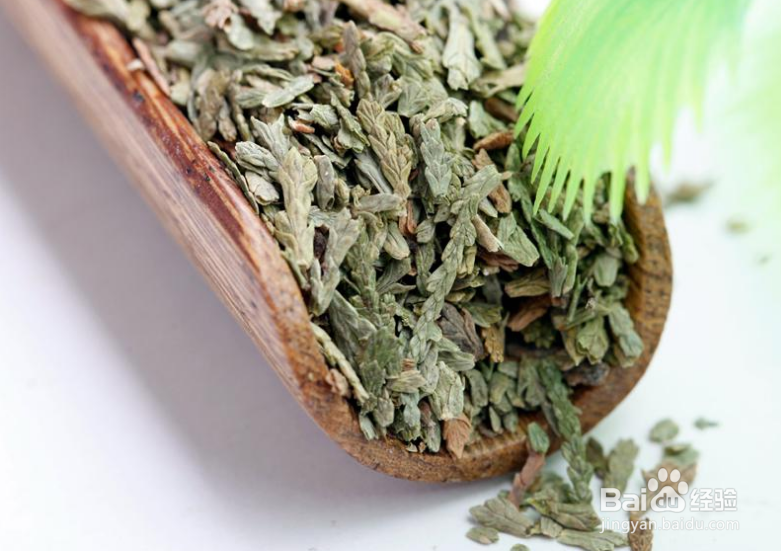 侧柏叶的鉴别方法