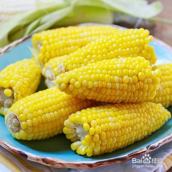 为何说玉米全身都是宝