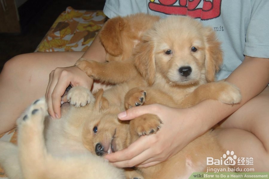 如何给自己做健康评估