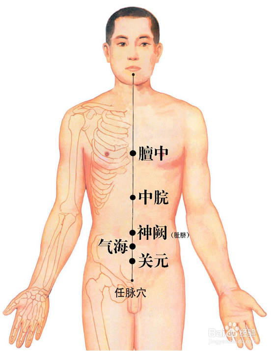 艾灸养生保健穴位讲解