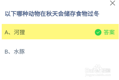 哪种动物在秋天会储存食物过冬？蚂蚁庄园答案