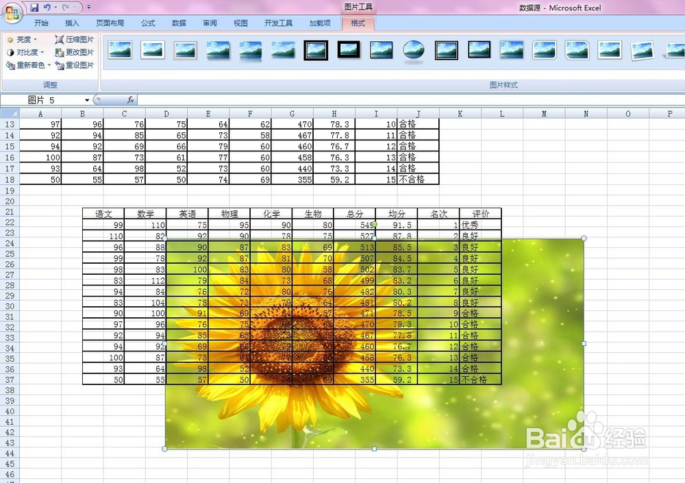 EXCEL给表格加相应背景图片