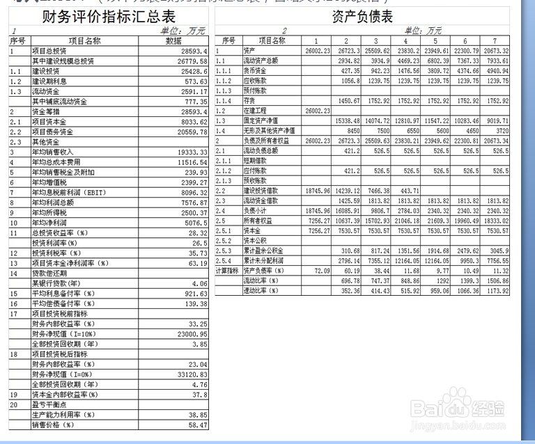 什么投资项目经济评价软件最好用