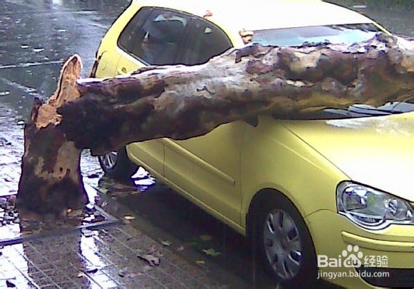 台风过境城市时街道行人交通安全注意事项