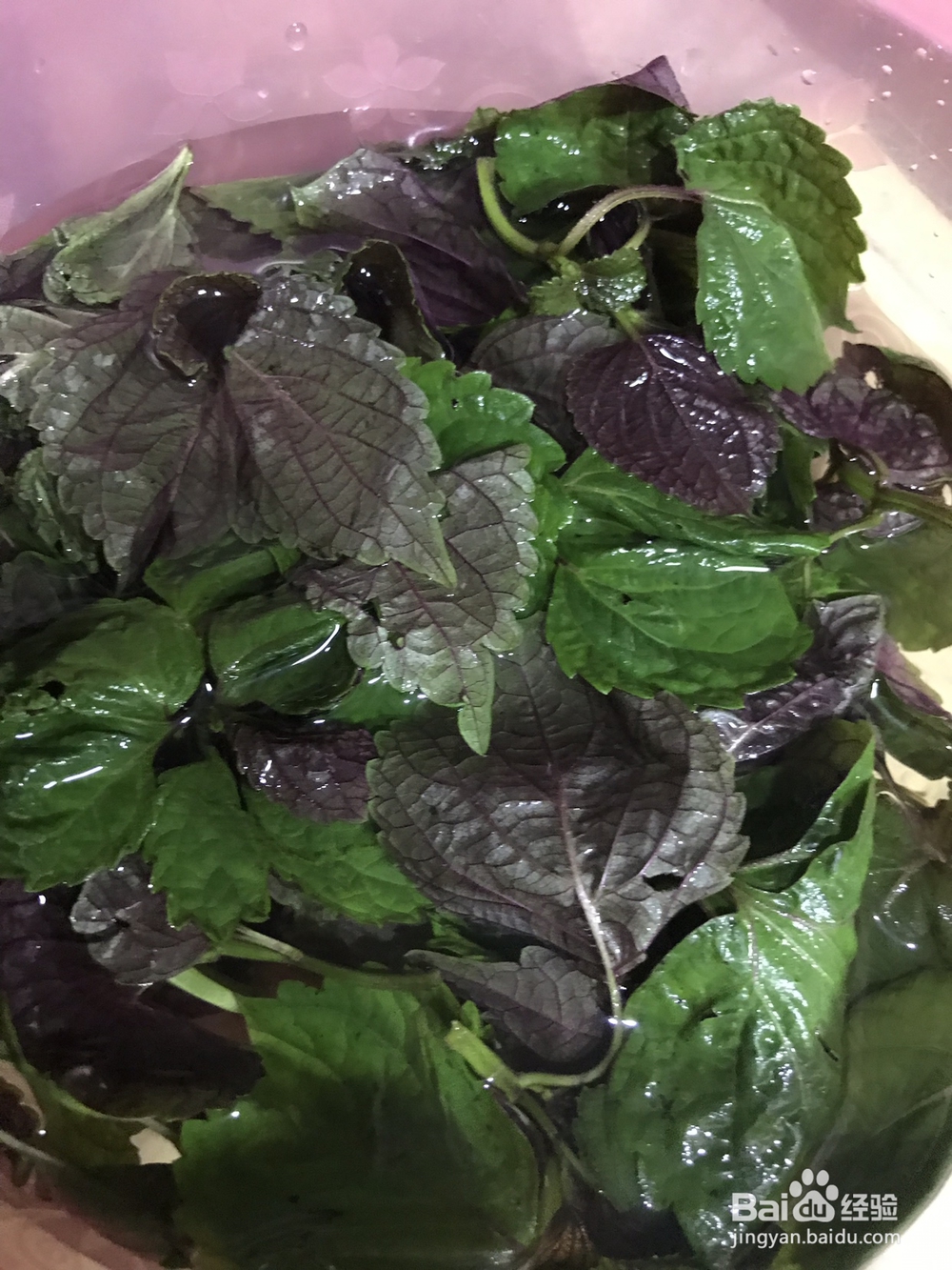 吃不胖的辣椒紫苏炒花甲肉