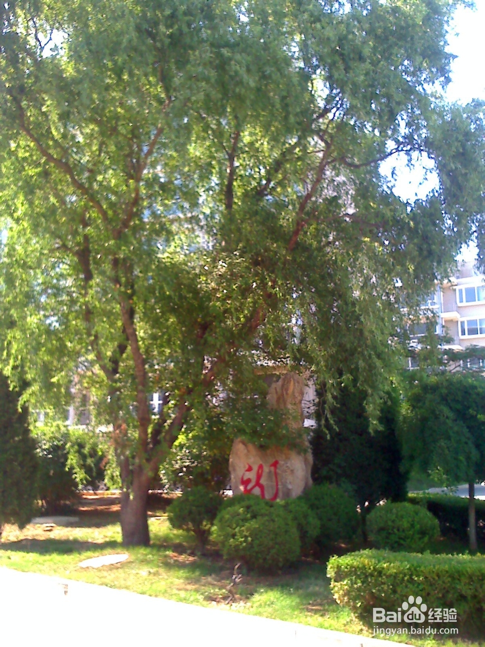 怎样告诉孩子什么是天然的氧吧--20