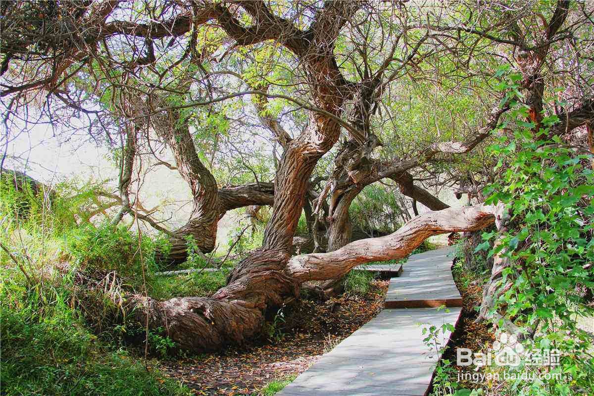 阿克苏周边好玩人气旅游景点推荐