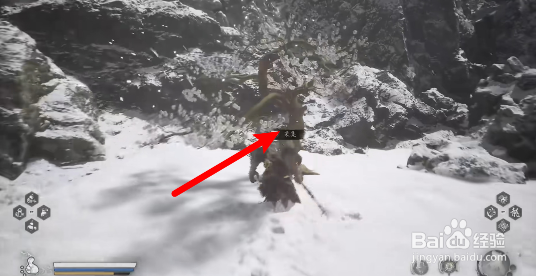 黑神话悟空怎么获得树珍珠种子