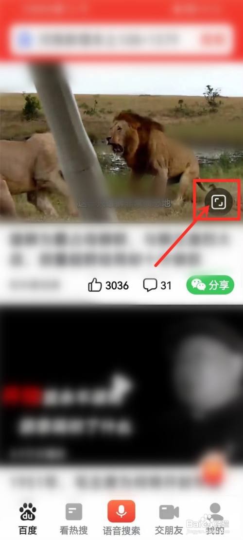 百度大字版怎么下载视频到相册