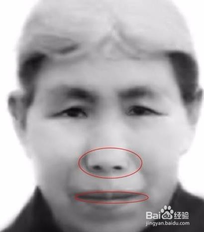 Photoshop修复带有网纹的黑白旧照片教程