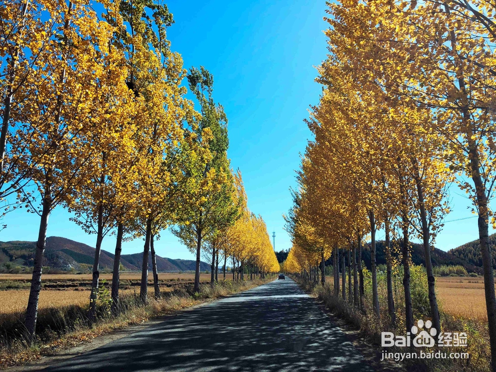 如何用PS给图片加渐变色