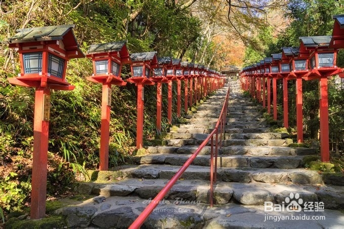 相约红叶季,畅游大阪京都
