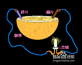 用橘子自制简易电池