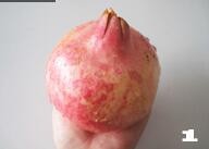 如何快速剥石榴不脏手的小妙招