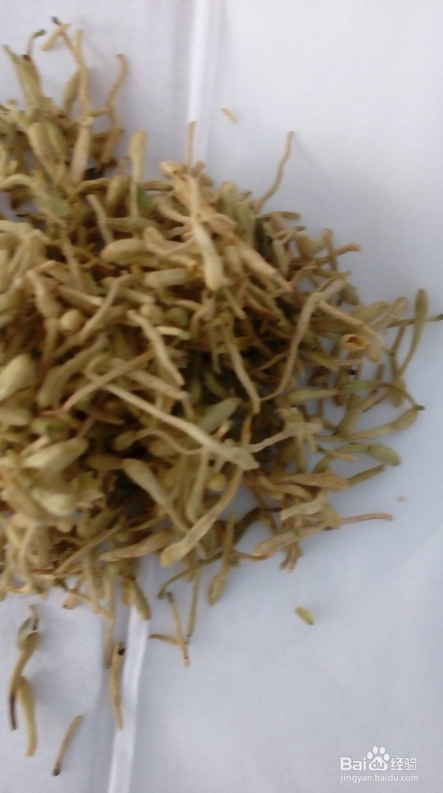 三花饮去暑保健