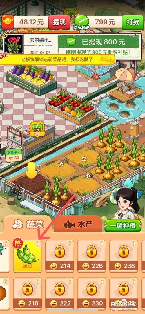 向往的小农院如何在土地上种植豌豆