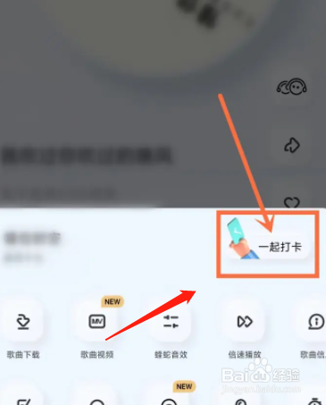 酷狗概念版app如何关闭一起打卡？