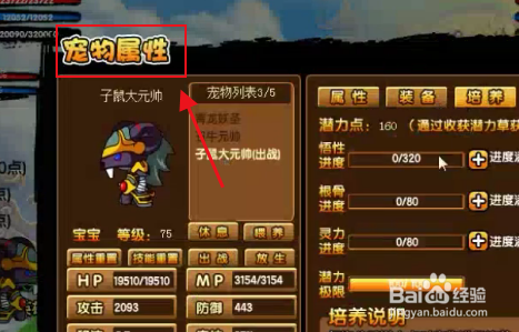 1 2 3 4 5 6 7分步阅读 造梦西游3子鼠怎么培养 ,今天小编就来跟大家