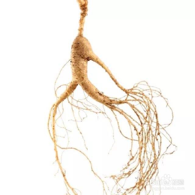 五味子的功效以及用法