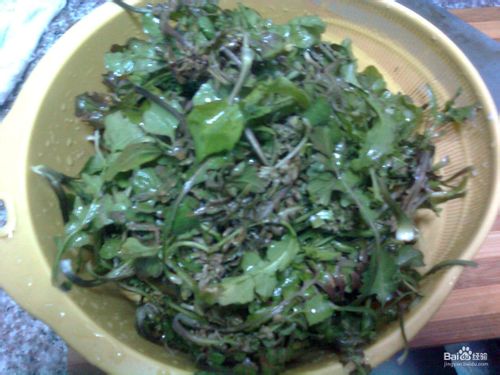 荠菜煎饺