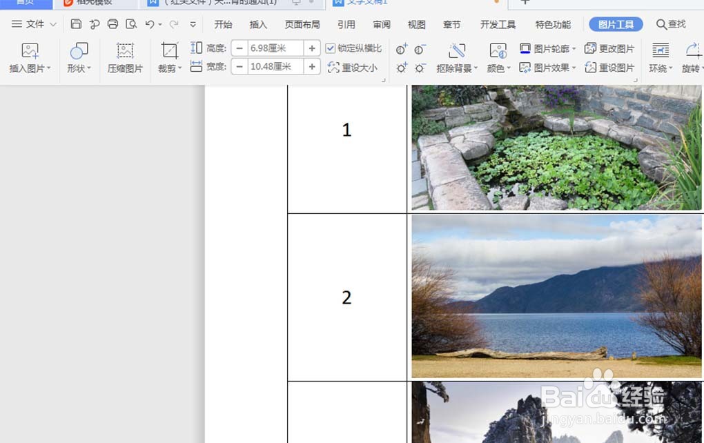 word表格插入图片怎样不变形