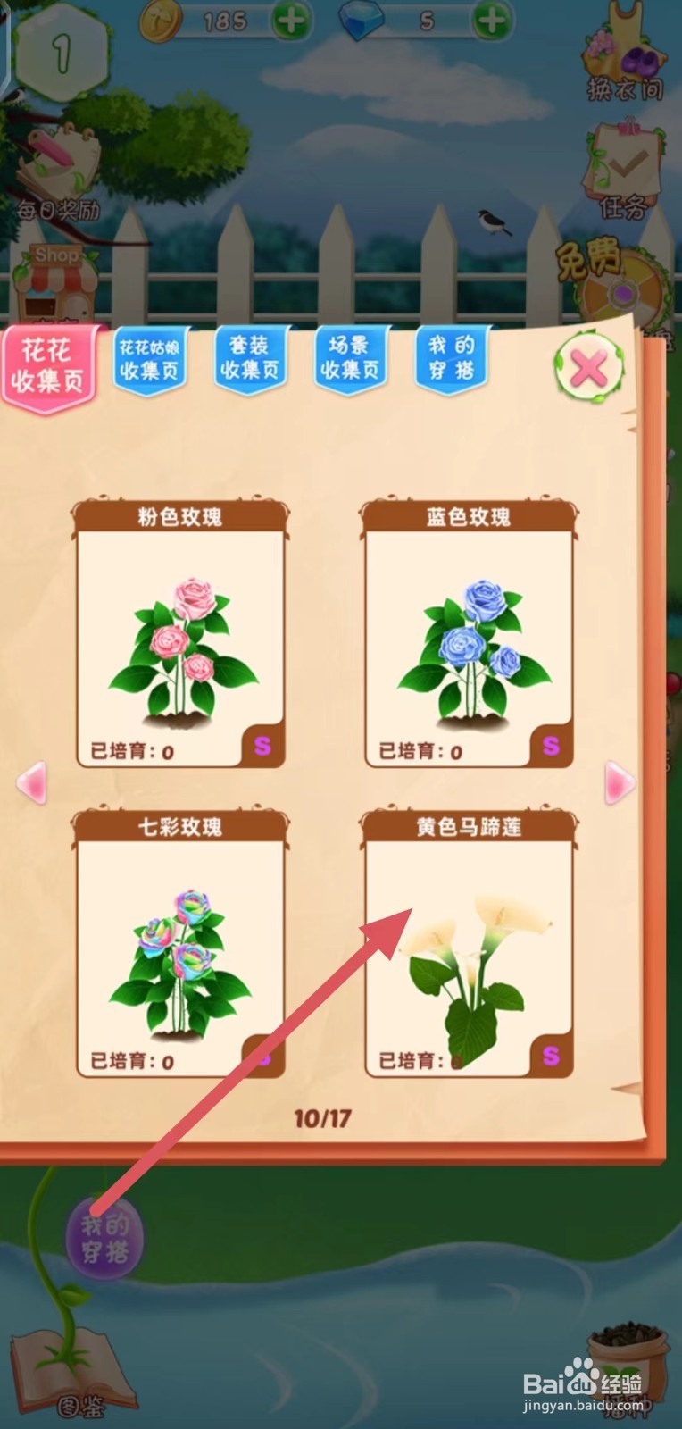 花花姑娘怎么查看黄色马蹄莲的生长速度
