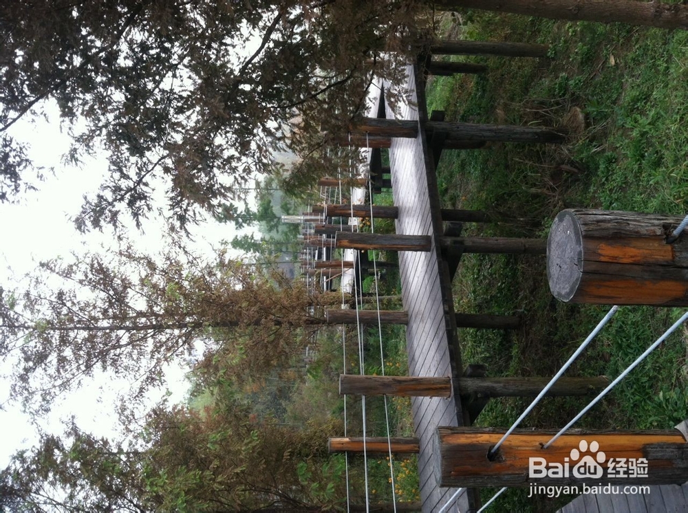 如何在冬季进行早锻炼，让心情愉悦