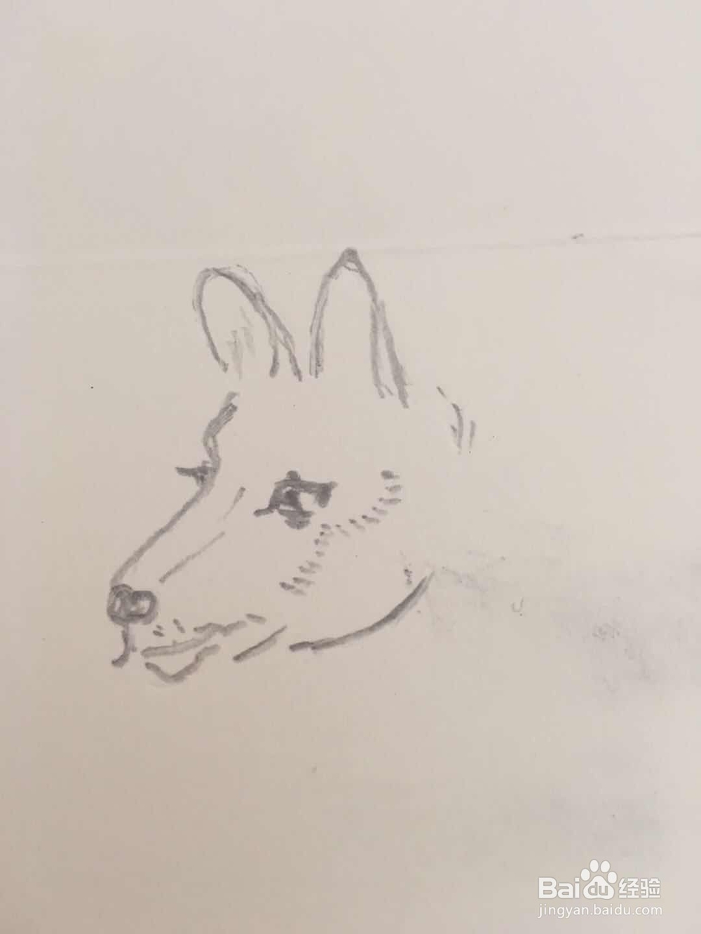 怎样画狗的简笔画 十二生肖之十一
