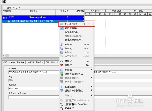 Primavera P6导入project计划