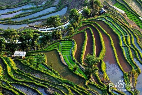 去云南旅游最值得去哪些地方？