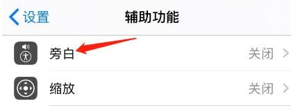 iPhone怎么查看旁白中的所有命令