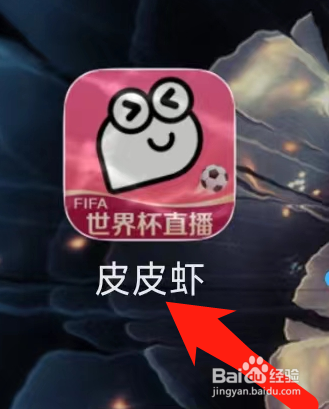 皮皮虾开启免流服务提示