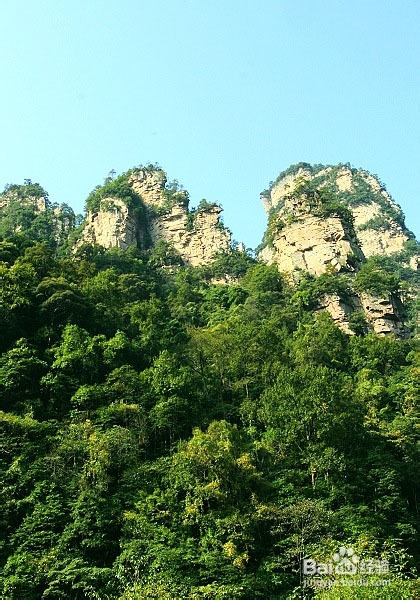 忙里偷闲利用周末去张家界游历了一番