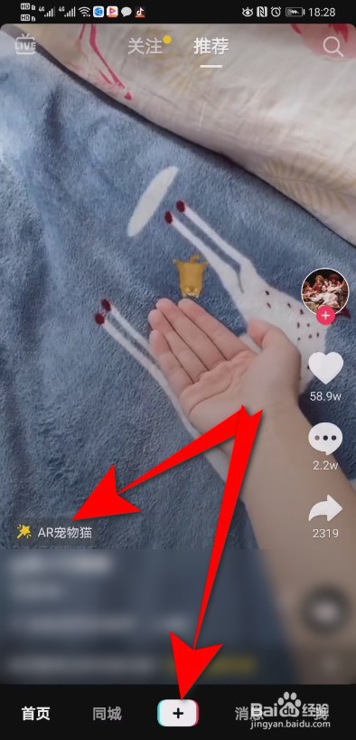 抖音AR猫特效在哪里 抖音AR猫特效怎么拍