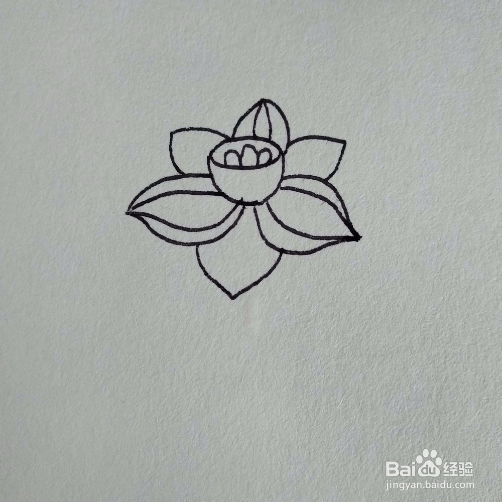 如何画一棵妖艳好看的水仙花植物简笔画