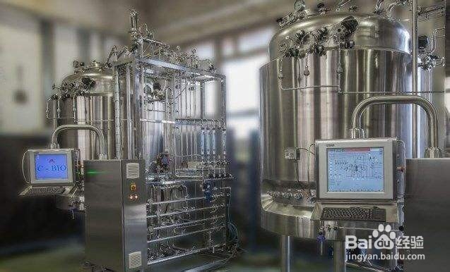 药桑果乳杆菌发酵饮料配方技术的研发