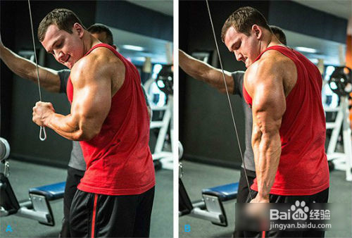 如何高效锻炼手臂