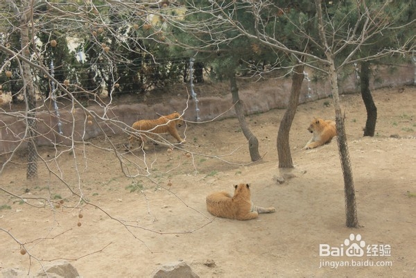 美丽海边山东威海旅游攻略，海岛、沙滩